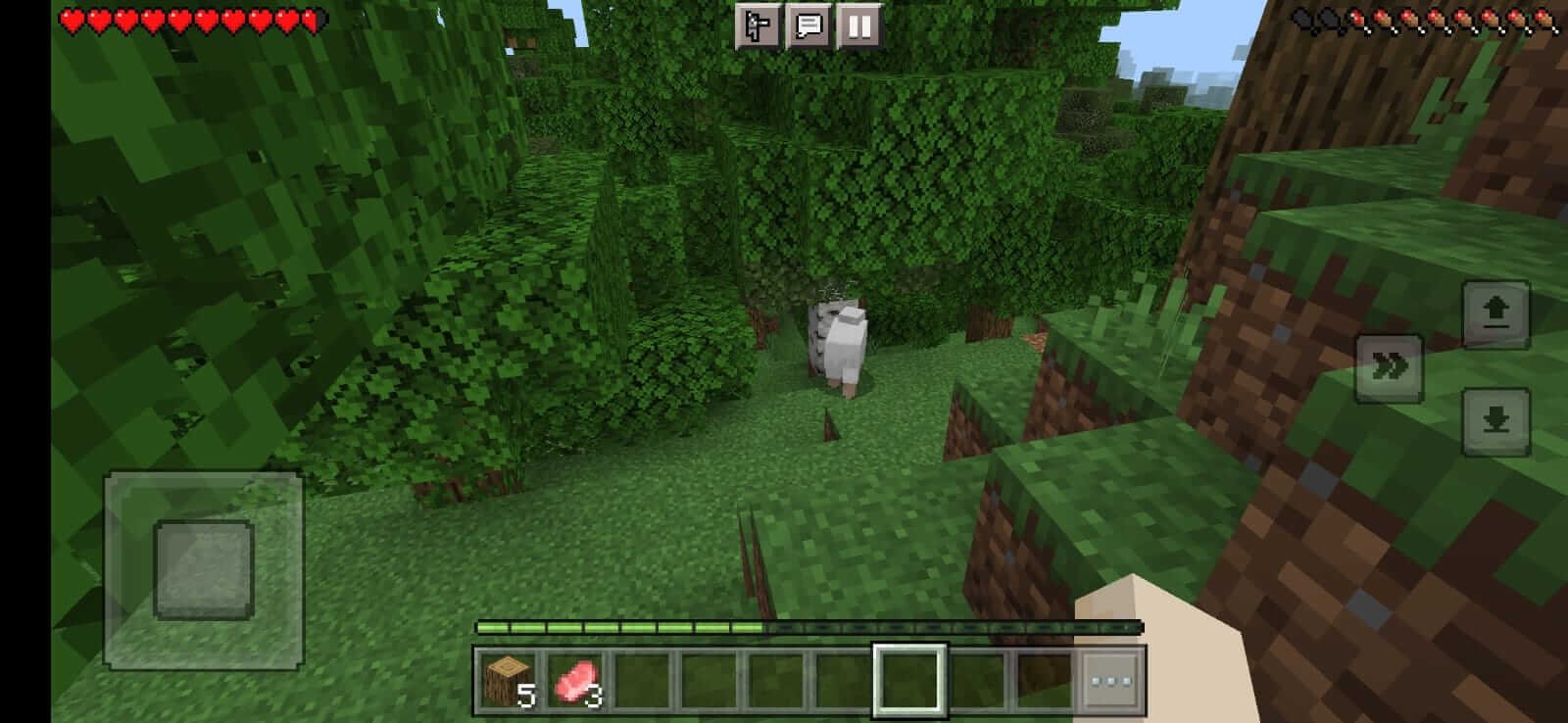 Screenshot Minecraft APK v1.26.30.28