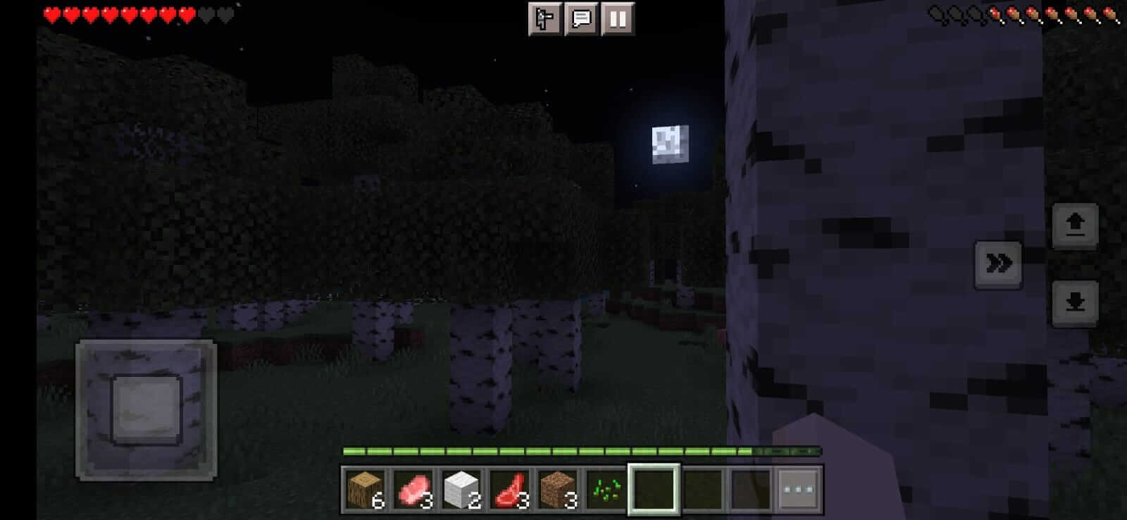 Screenshot Minecraft APK v1.26.30.28