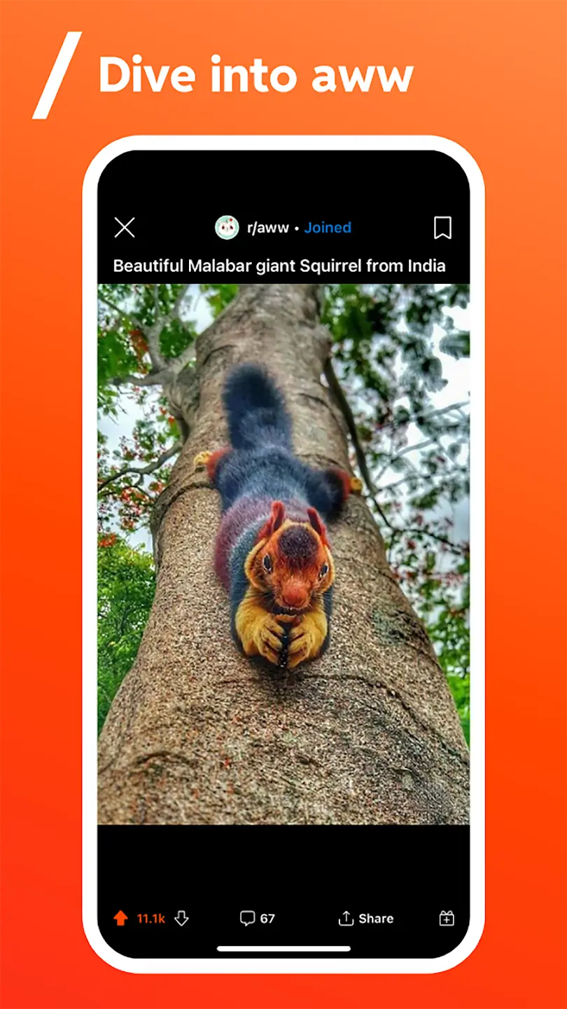 Screenshot Reddit APK Download Terbaru untuk Android