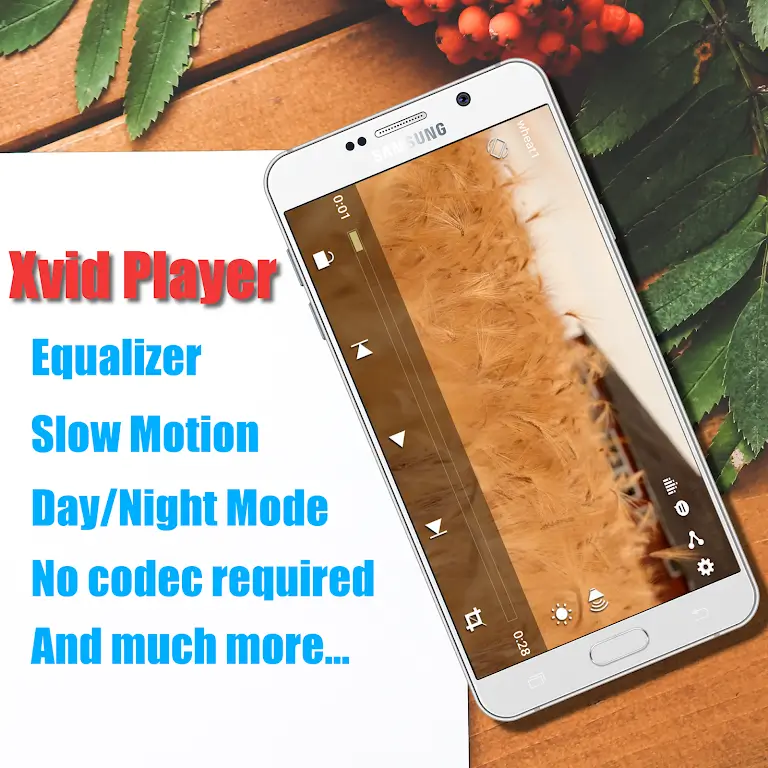 Screenshot Xvid Video Codec Player APK